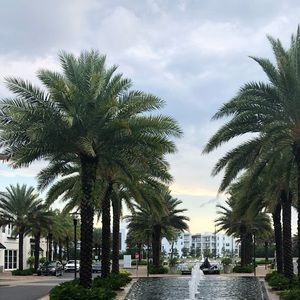 Meet your Posher, Nylah